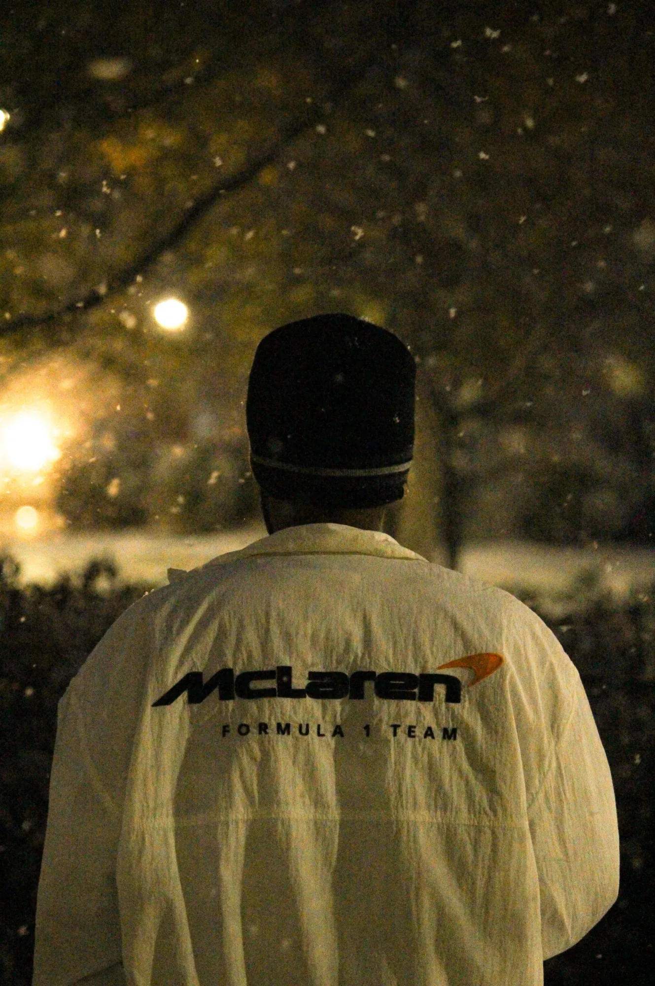 Snowfall In Indianapolis